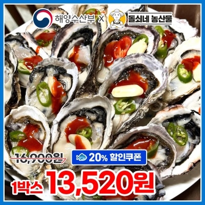 산지직송! 싱싱하고 통통한 통영 제철 반각굴 하프셀 (횟감용)