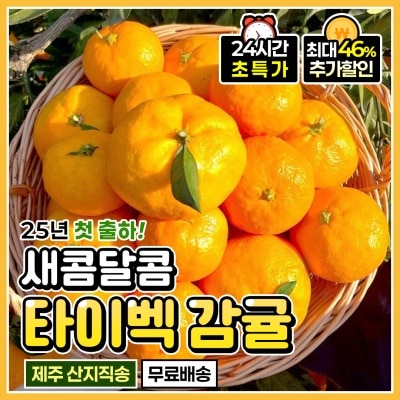 25년 첫 출하! 정품 제주 타이벡 조생 노지 감귤