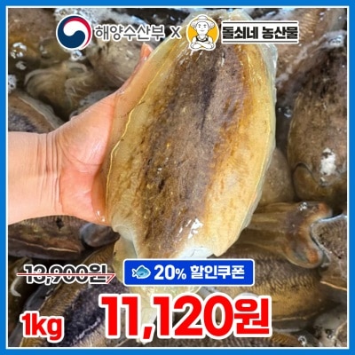 횟감 가능! 당일조업 싱싱한 제철 활 갑오징어 