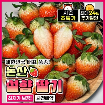 새콤달콤 당도 폭발! 싱싱한 논산 제철 설향딸기