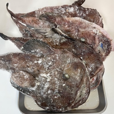 내장 제거 국내산 손질 아구 10kg (4~7미 내외)