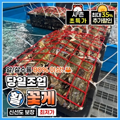 가을 제철 활 꽃게 살아있는 꽃게 1kg