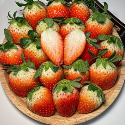 [특가할인] 새콤달콤 당도 폭발! 싱싱한 논산 제철 설향딸기