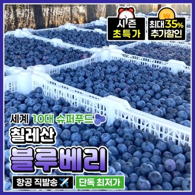항공수입! 칠레산 프리미엄 생과 블루베리