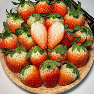 싱싱한 논산 제철 설향딸기