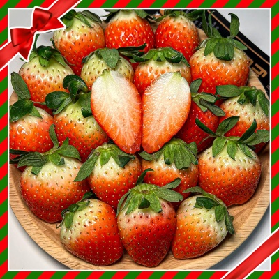 [사전+특가할인] 새콤달콤 당도 폭발! 싱싱한 논산 제철 설향딸기