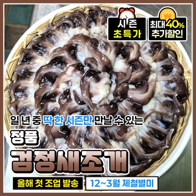 100% A급 정품 자연산 손질 초코 새조개