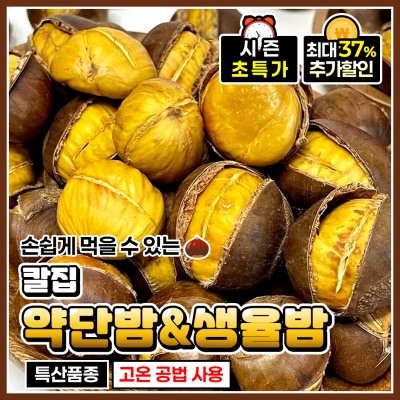 오독오독 고소한 25년 '햇' 칼집밤 약단밤 생율밤 1kg
