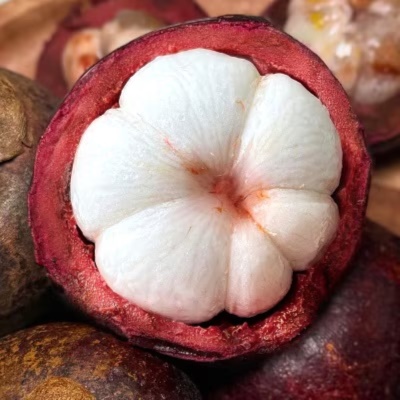 돌쇠네 항공 직수입! 프리미엄 태국 망고스틴