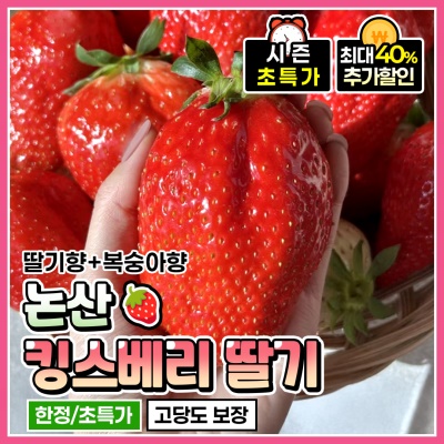 복숭아 향이 나는 논산 산지직송 킹스베리 딸기 