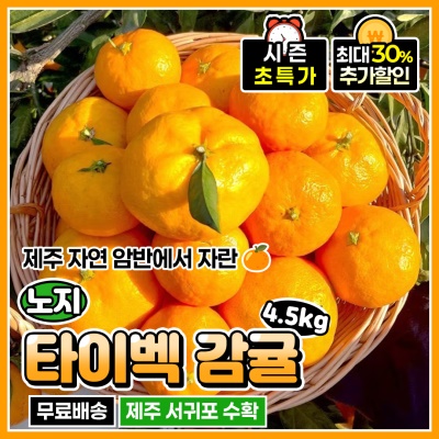제주 서귀포 타이벡 조생 노지 감귤 4.5kg