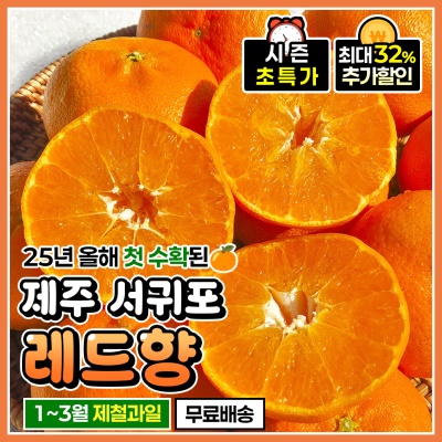 맛 좋은 제주 산지 고당도 정품 서귀포 레드향
