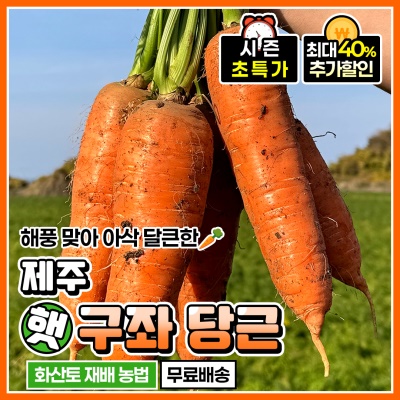 품질보장 아삭아삭 돌쇠네 햇 제주 구좌 흙당근