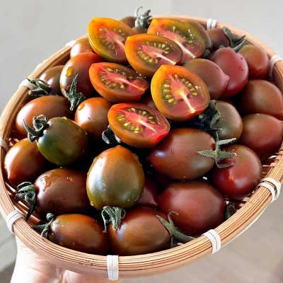 달콤 짭짤 부산 대저 흑대추 방울토마토