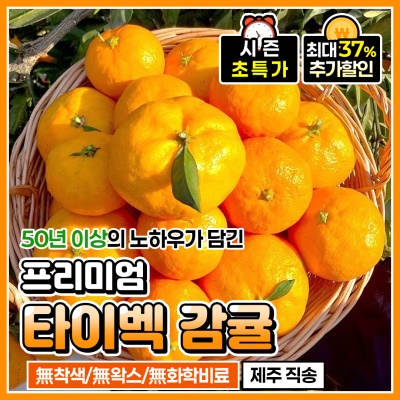 제주 서귀포 정품 타이벡 조생 감귤 5kg 
