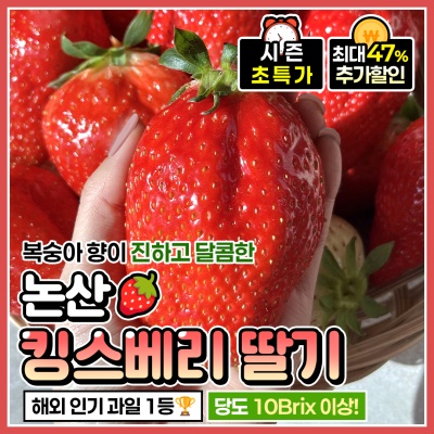 복숭아 향이 나는 논산 산지직송 킹스베리 딸기 