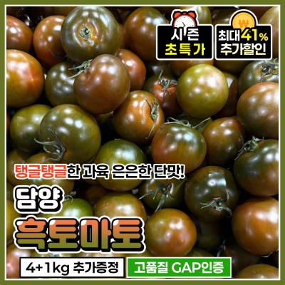 [1kg 추가증정] GAP인증 담양 수확 산지직송! 흑토마토 
