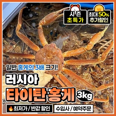 홍게의 3배 크기! 살아있는 러시아 타이탄 홍게 대게
