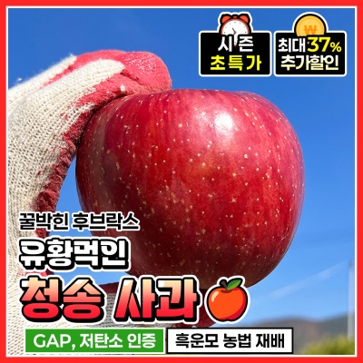 GAP 인증 유황 먹여 키운 달콤한 청송 후브락스 부사사과