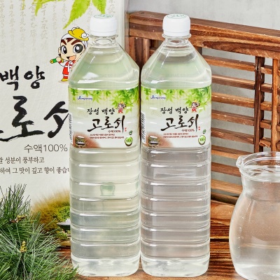 봄을 알리는 자연의 선물 장성 백암 고로쇠 수액