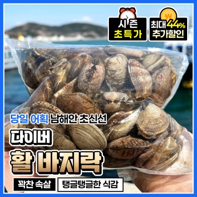 당일어획 남해안 통영산 활 바지락 