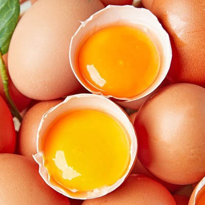 [특가할인] 난각번호 1번 무항생제  유정란 계란 20구 40구