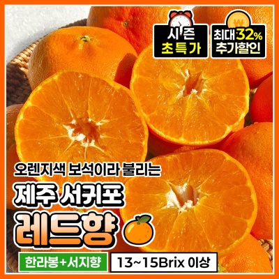 맛 좋은 제주 산지 고당도 가정용 서귀포 레드향
