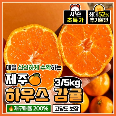 산지 직발송! 달콤한 맛 가득한 제주 하우스 감귤