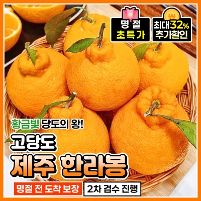 [명절 전 도착!] 자체선별 당도보장 가정용 제주 한라봉