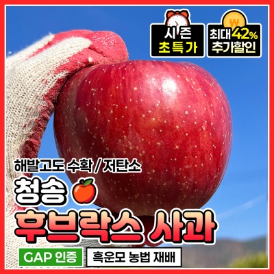 GAP 인증 유황 먹여 키운 달콤한 청송 후브락스 부사사과