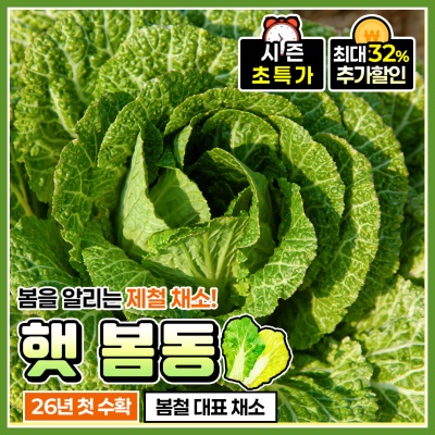 아삭하고 달큰한 맛이 일품인 제철 봄동 3kg
