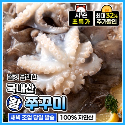 당일 조업! 쫄깃 담백! 싱싱한 국내산 활 쭈꾸미