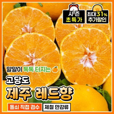 지금이 달콤함의 제철! 제주의 신선함을 듬뿍 담은 레드향