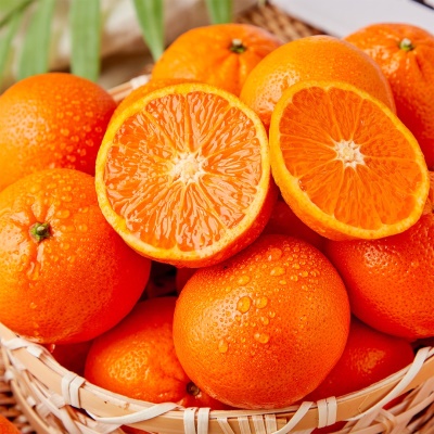 프리미엄 고당도 만다린 귤 오렌지