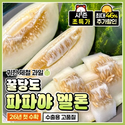 봄의 향기가 가득한 꿀당도 파파야멜론