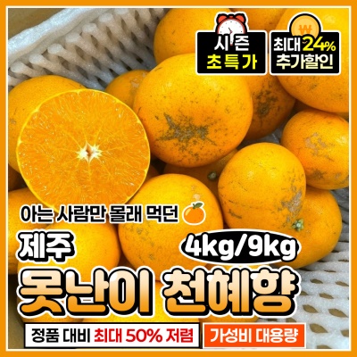 못생겼지만 맛있다! 제주 못난이 천혜향 4kg, 9kg