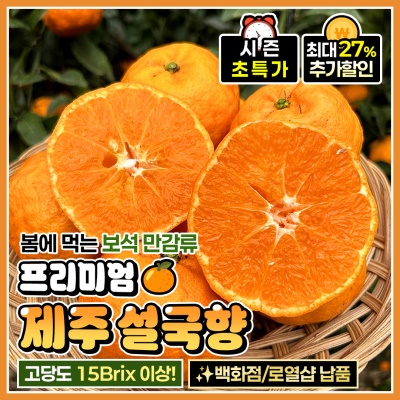 신품종 고당도 감귤 프리미엄 제주 설국향