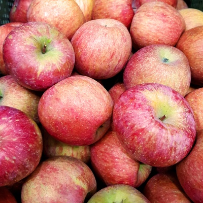 못생겼지만 아삭하다! 국내산 못난이 사과 부사사과