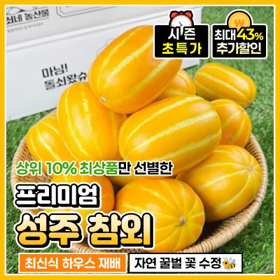 자체선별 프리미엄 하우스 성주 꿀참외
