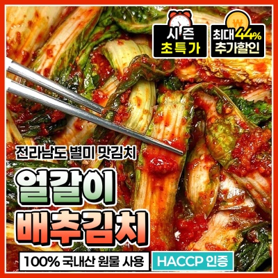 20년 전통 전라도 별미 얼갈이 배추김치