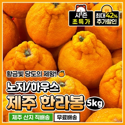 새콤달콤 제주 서귀포 노지/하우스 한라봉 5kg