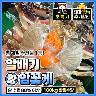 봄 제철 알이 꽉-찬 알배기 활 암꽃게 1kg