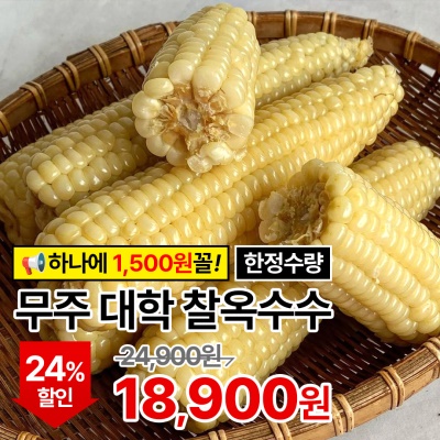 할머니가 쪄주시던 그 맛! 쫀득탱글 무주 대학 찰옥수수