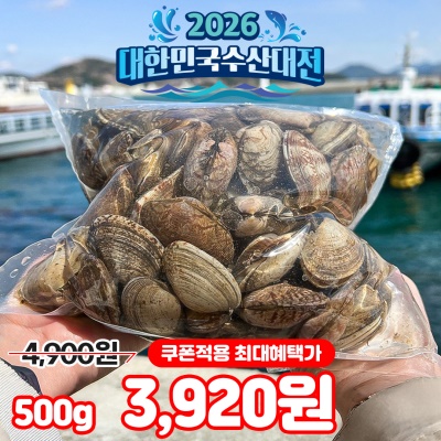 당일어획 국내산 대왕 활 바지락 