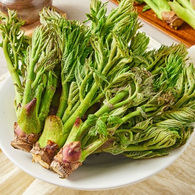 딱 1달만 만날 수 있는 봄나물의 제왕 참두릅 두릅