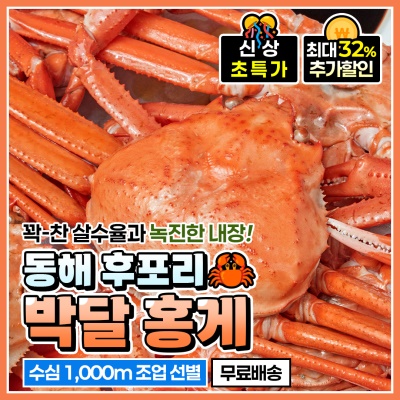 수심 1,000m이하 조업! 산지직송 후포리 박달 홍게