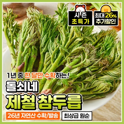 딱 1달만 만날 수 있는 봄나물의 제왕 참두릅 두릅