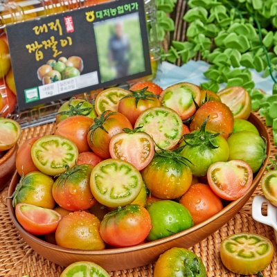 한입에 쏙! 정품 미니 짭짤이 대저토마토