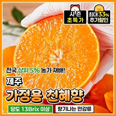 당도와 과즙이 풍부한 제주 가정용 천혜향