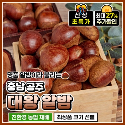 간식으로 먹기 좋은 고소한 공주 왕 알밤 대왕 알밤 2kg